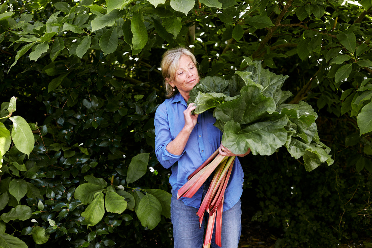 The Symondsbury Seasonal Kitchen