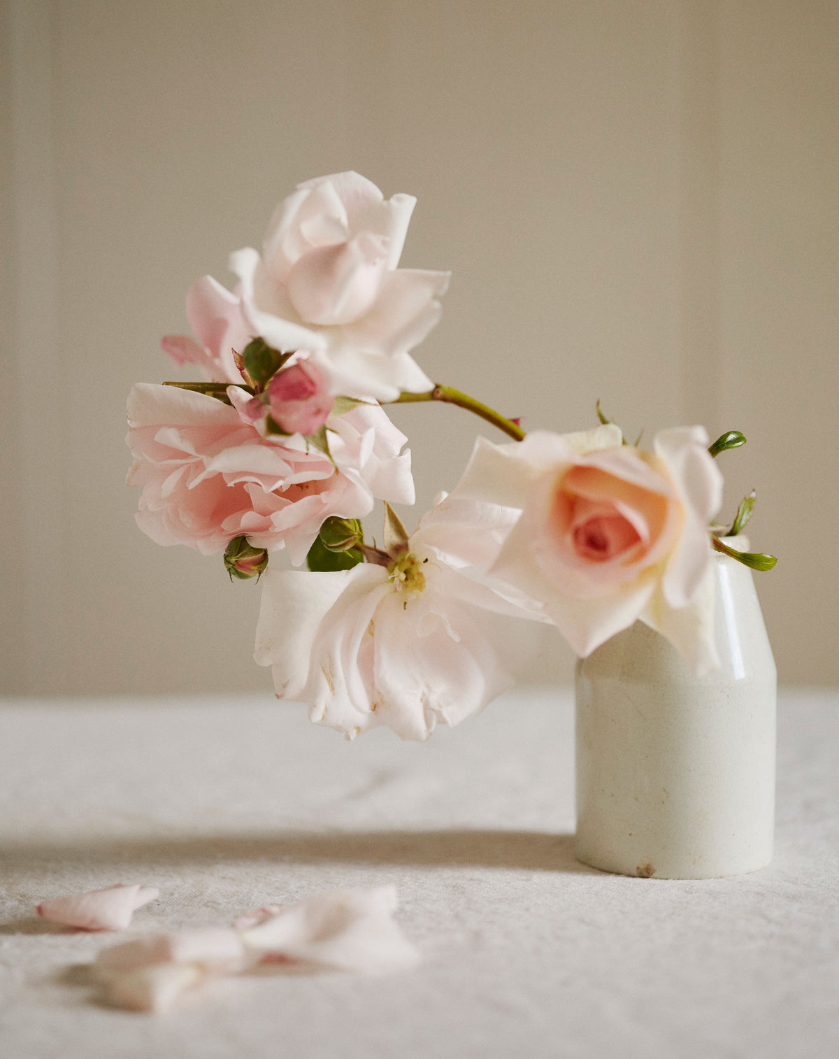 The Symondsbury Seasonal Kitchen