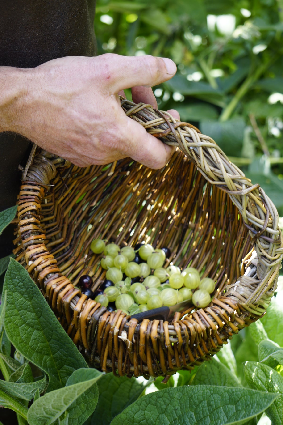 Frame Basket Workshop