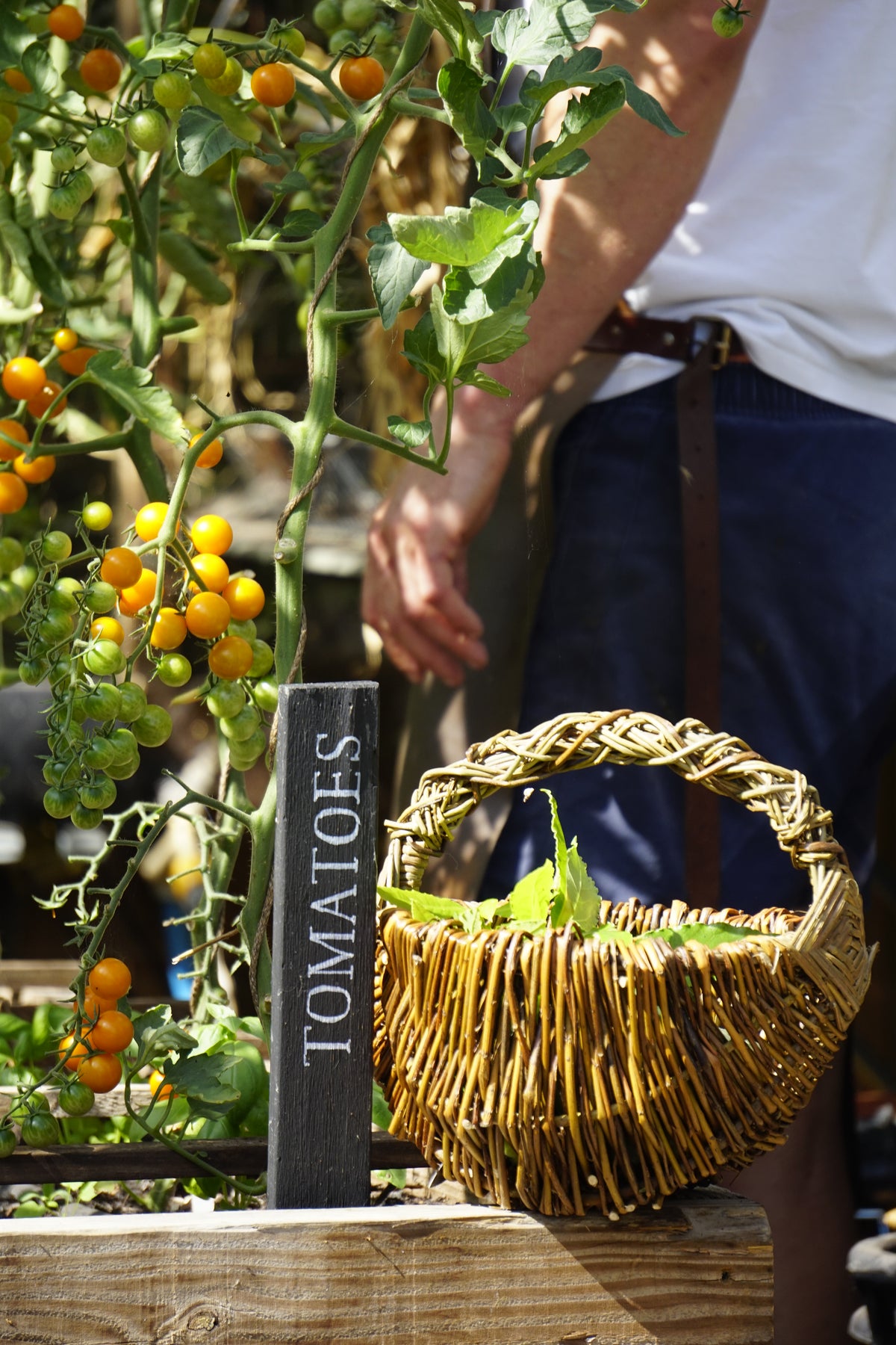 Frame Basket Workshop