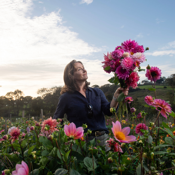 Delightful Dahlias with Anna May of Dorset Dahlias