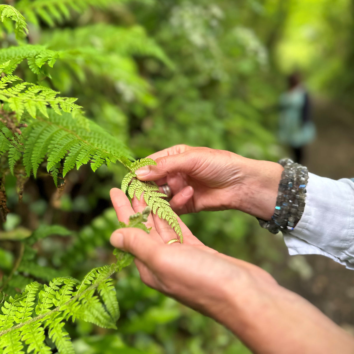 Return to Nature: Forest Bathing