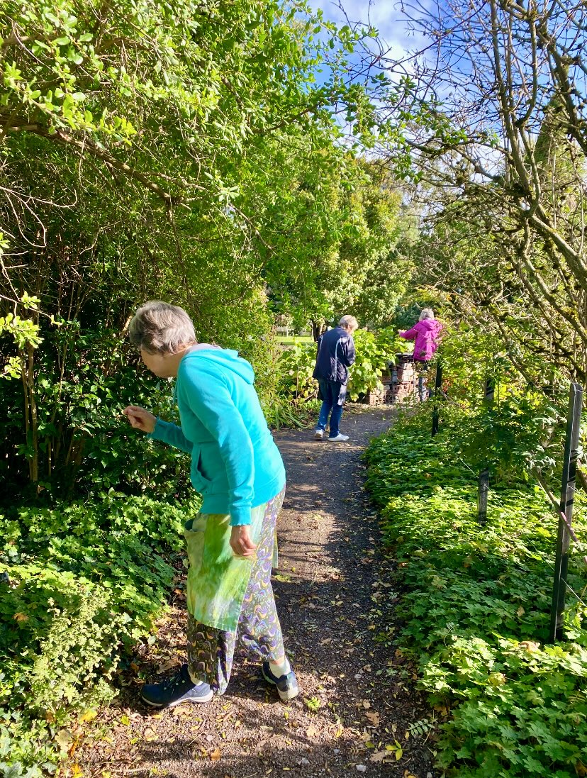 Botanical Pottery Jug Workshop with Wild Fern Studio