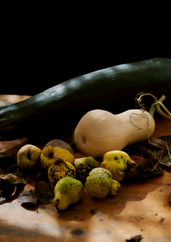 Harvest Festival Supper