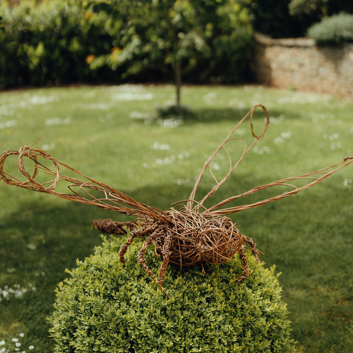 Willow Dragonfly Workshop with Jo Sadler 2025