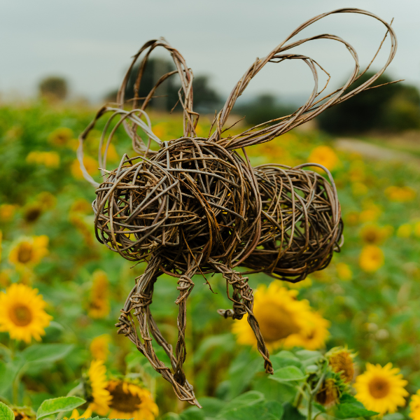 Willow Bee Workshop with Jo Sadler 2025